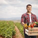 Agricultura sibiana se dezvolta Doua ferme avicole si 12 legumicole
