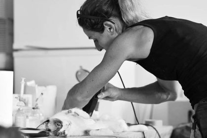 Animal Life lanseaza campanie de castrari gratuite Rasinari