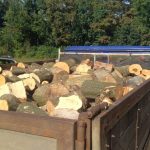 Doi barbati prinsi cu lemne ilegale la Avrig