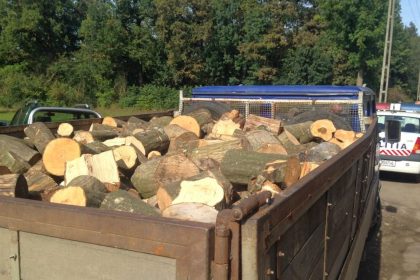 Doi barbati prinsi cu lemne ilegale la Avrig