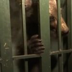 Doi pui de urs captivi intr un grajd procurorii investigheaza