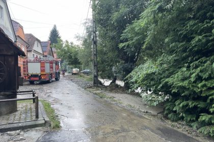 Echipele de interventie au actionat rapid in Cisnadioara