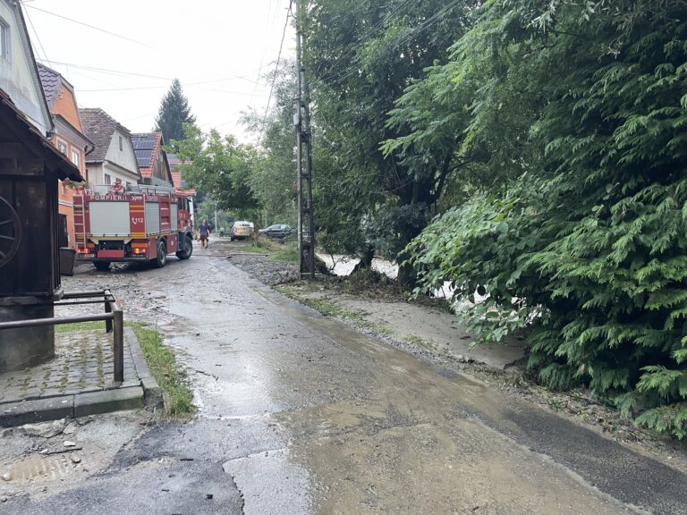 Echipele de interventie au actionat rapid in Cisnadioara