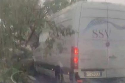 Furtuna violenta pe Valea Oltului copac cazut pe masina