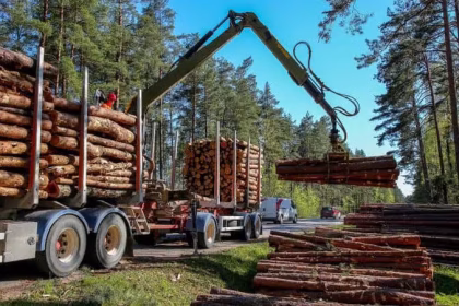 Guvernul incepe reforma Romsilva Posturi taiate si reguli clare