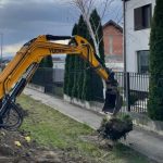 Jucaria pentru transplantare costa 500000 de lei