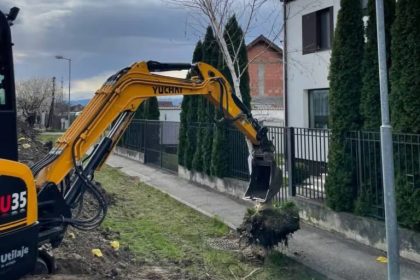 Jucaria pentru transplantare costa 500000 de lei