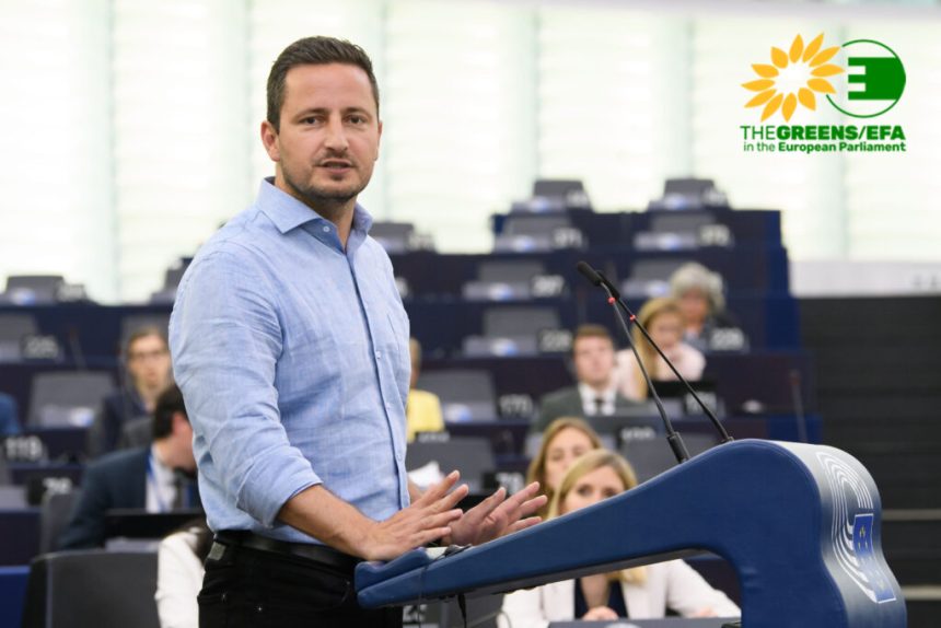 Nicu Stefanutza cere fonduri UE pentru IT isti concediati