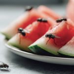 Scapati de muste tzantsari si furnici Ghid Verdon pentru o var fara insecte