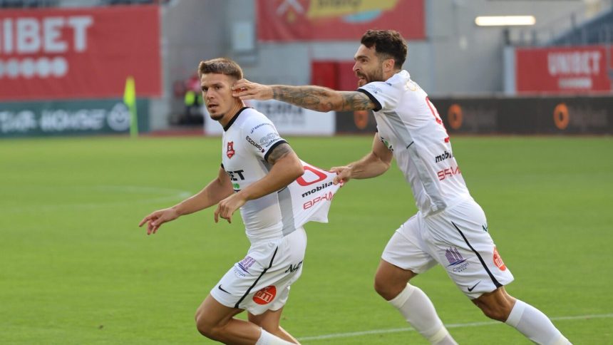 Semi esec pentru FC Hermannstadt cu Metaloglobus