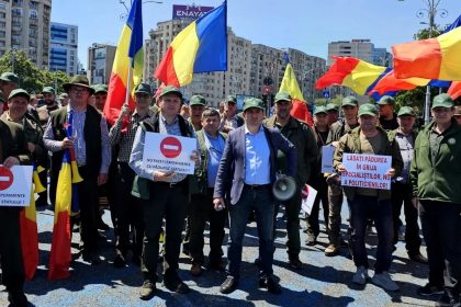 Sindicalistii din silvicultura atarg atentia asupra Romsilva