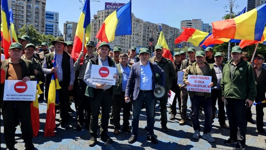 Sindicalistii din silvicultura atarg atentia asupra Romsilva