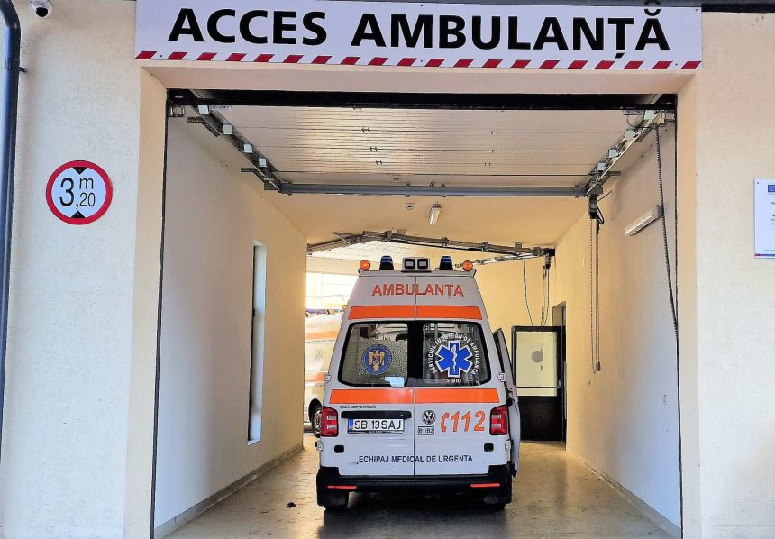 Tanarul muscat de caine in Muntii Fagaras starea pacientului