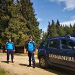 Turista canadiana salvata de jandarmi pe un drum forestier