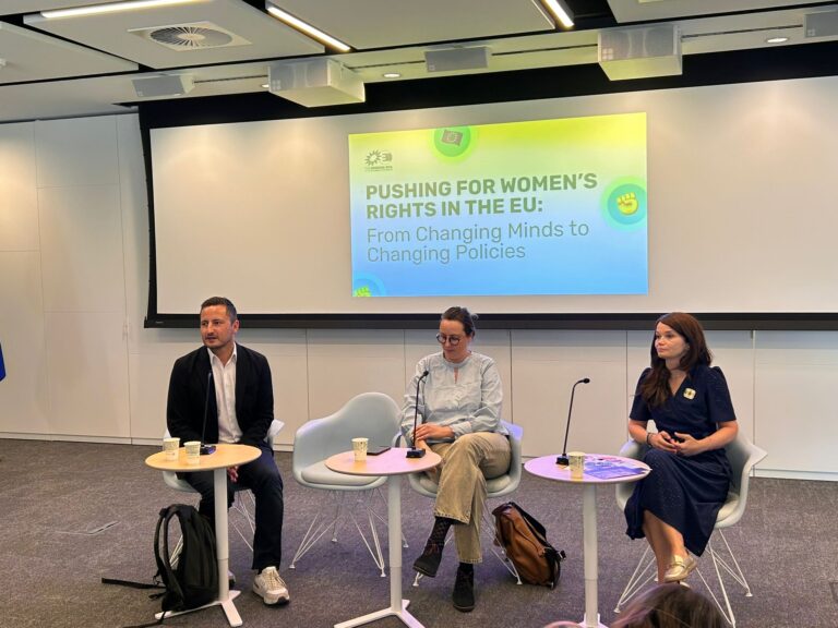 Violena domestic discutat la Parlamentul European de o asociaie sibian