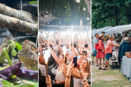 Weekend vibrant la Sibiu Petrecere targ concerte si expozitie