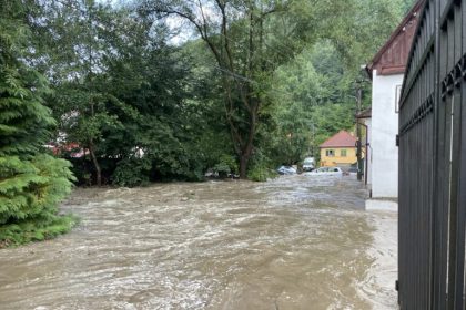 cisnadiora sub ape viitura a lasat pagube mari