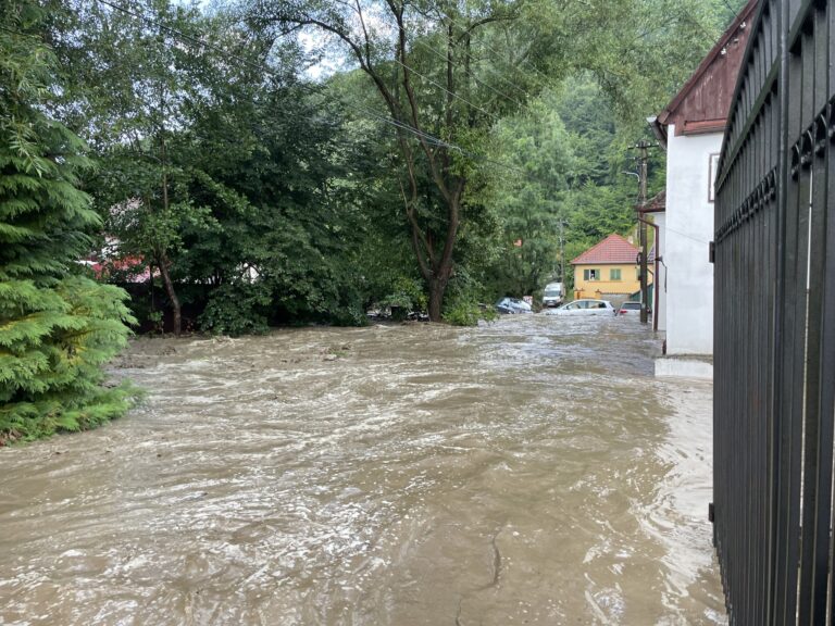 cisnadiora sub ape viitura a lasat pagube mari