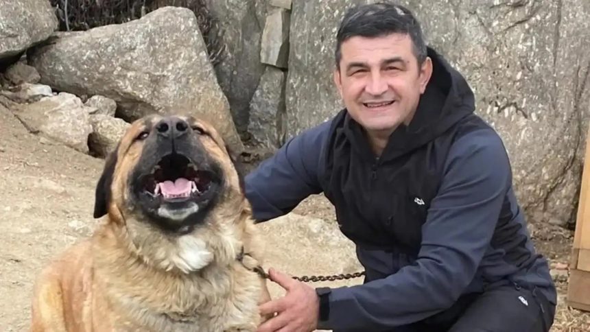 A intrat in foc pentru a salva caii