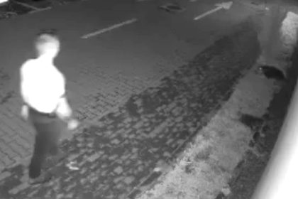 Act de cruzime in Sibiu barbat ataca caine nevinovat