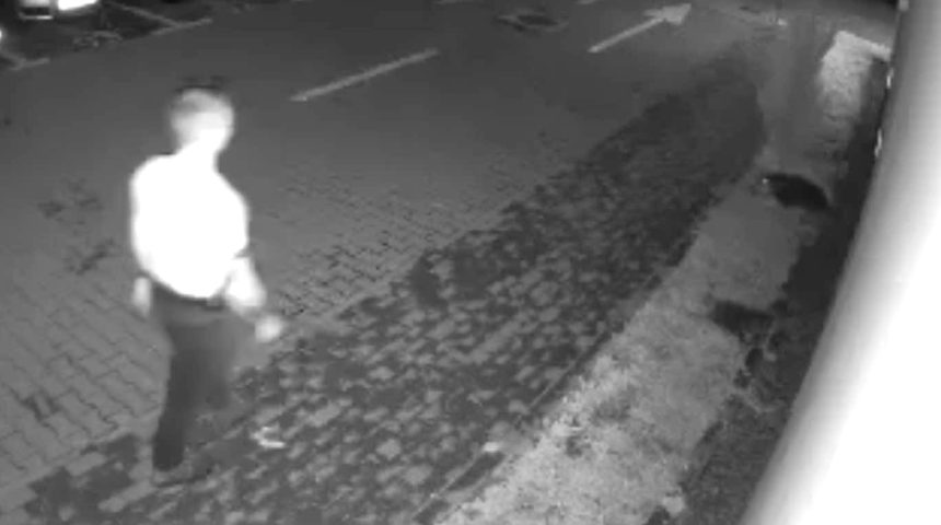 Act de cruzime in Sibiu barbat ataca caine nevinovat