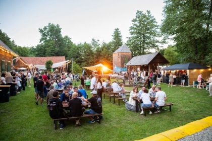 Atmosfera de festival la VinFest Robin and the Backstabbers au stralucit