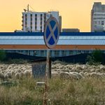 Avantajul de a locui in Avantgarden peisaje minunate