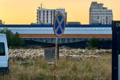 Avantajul de a locui in Avantgarden peisaje minunate