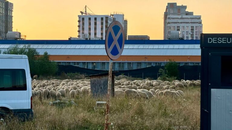 Avantajul de a locui in Avantgarden peisaje minunate