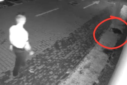 Cazul cainelui fugarit cu bata Politia a identificat agresorul