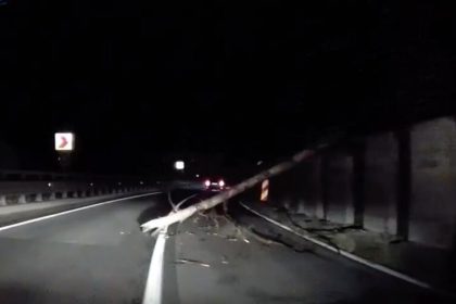 Copac cazut pe drum pe Valea Oltului Valcea