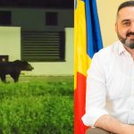 Goana dupa ursul vazut in Agnita Primar Suntem coplesiti