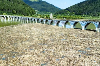 Imagini alarmante la Barajul Bicaz Lemnul acopera lacul