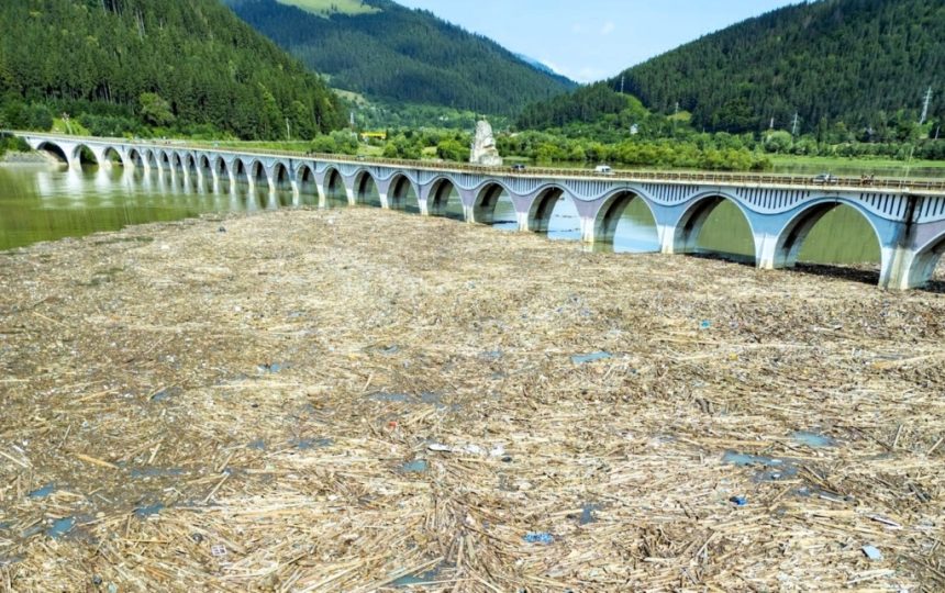 Imagini alarmante la Barajul Bicaz Lemnul acopera lacul