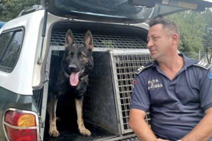 Nala Thor si colegii Cainii de serviciu din Sibiu