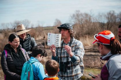 Observarea pasarilor la Sibiu ocazia perfecta pentru a vedea acvila tipatoare si soimul randunelelor