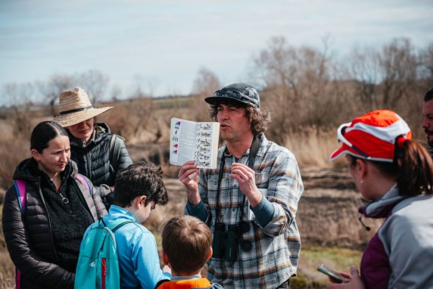 Observarea pasarilor la Sibiu ocazia perfecta pentru a vedea acvila tipatoare si soimul randunelelor