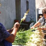 Participare record la Festivalul Tuberozelor din Hoghilag