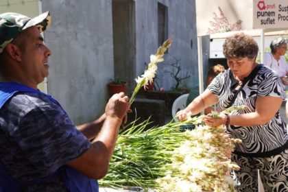 Participare record la Festivalul Tuberozelor din Hoghilag