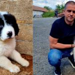 Val de aprecieri pentru deputatul Bogdan Trif