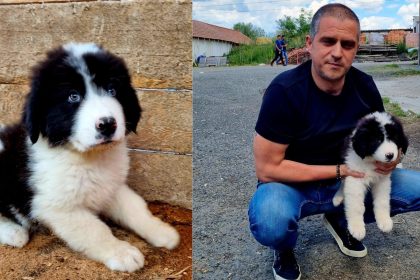 Val de aprecieri pentru deputatul Bogdan Trif