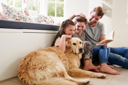 Animalele de companie imbunatatesc sanatatea mentala