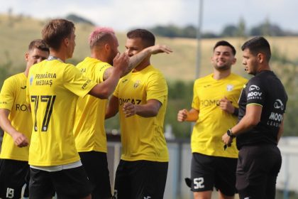 Au spart gheata Victorii clare pentru Inter si Medias