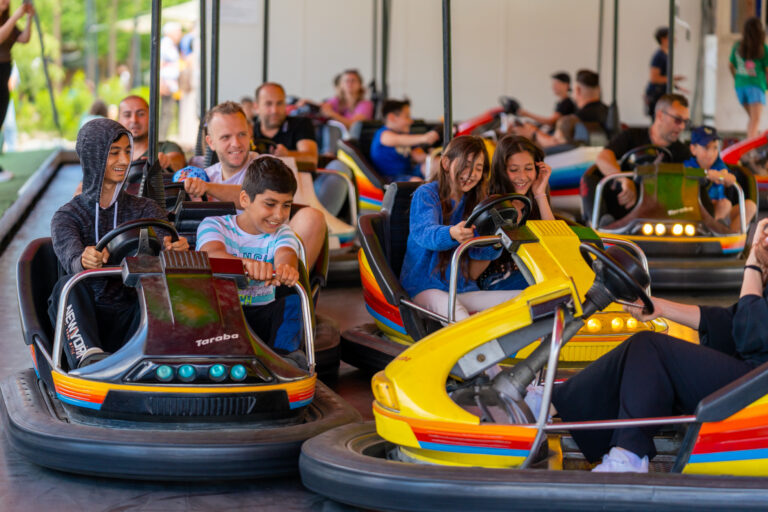 Brambura Park Distractia prinde viata pe Valea Avrigului