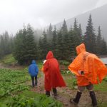 Cod galben de ploi si vant in muntii Sibiului