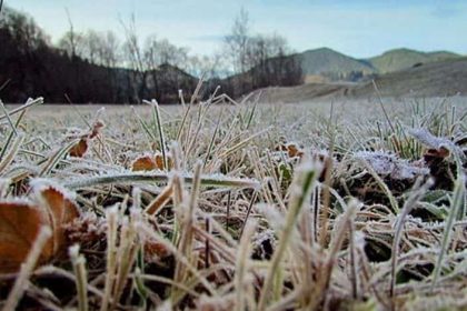 De la toamna la iarna 6 4 grade la Miercurea Ciuc