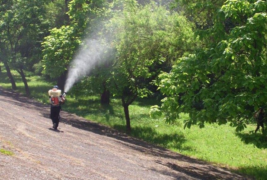 Dezinsectie in Selimbar Evitati zonele tratate