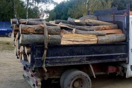 Dimineata cu ghinion la Rusciori lemne fara acte in camion