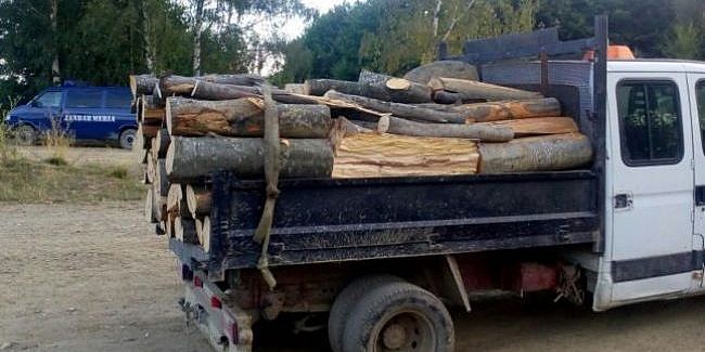 Dimineata cu ghinion la Rusciori lemne fara acte in camion