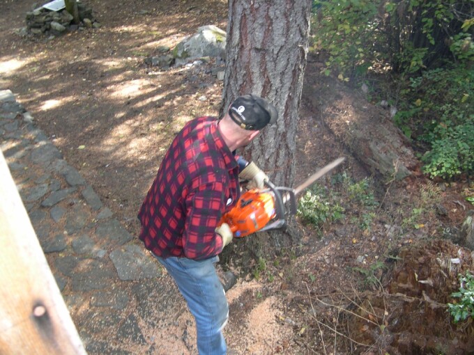 Doi sibieni au intrat cu drujba in padure si au iesit cu dosar penal